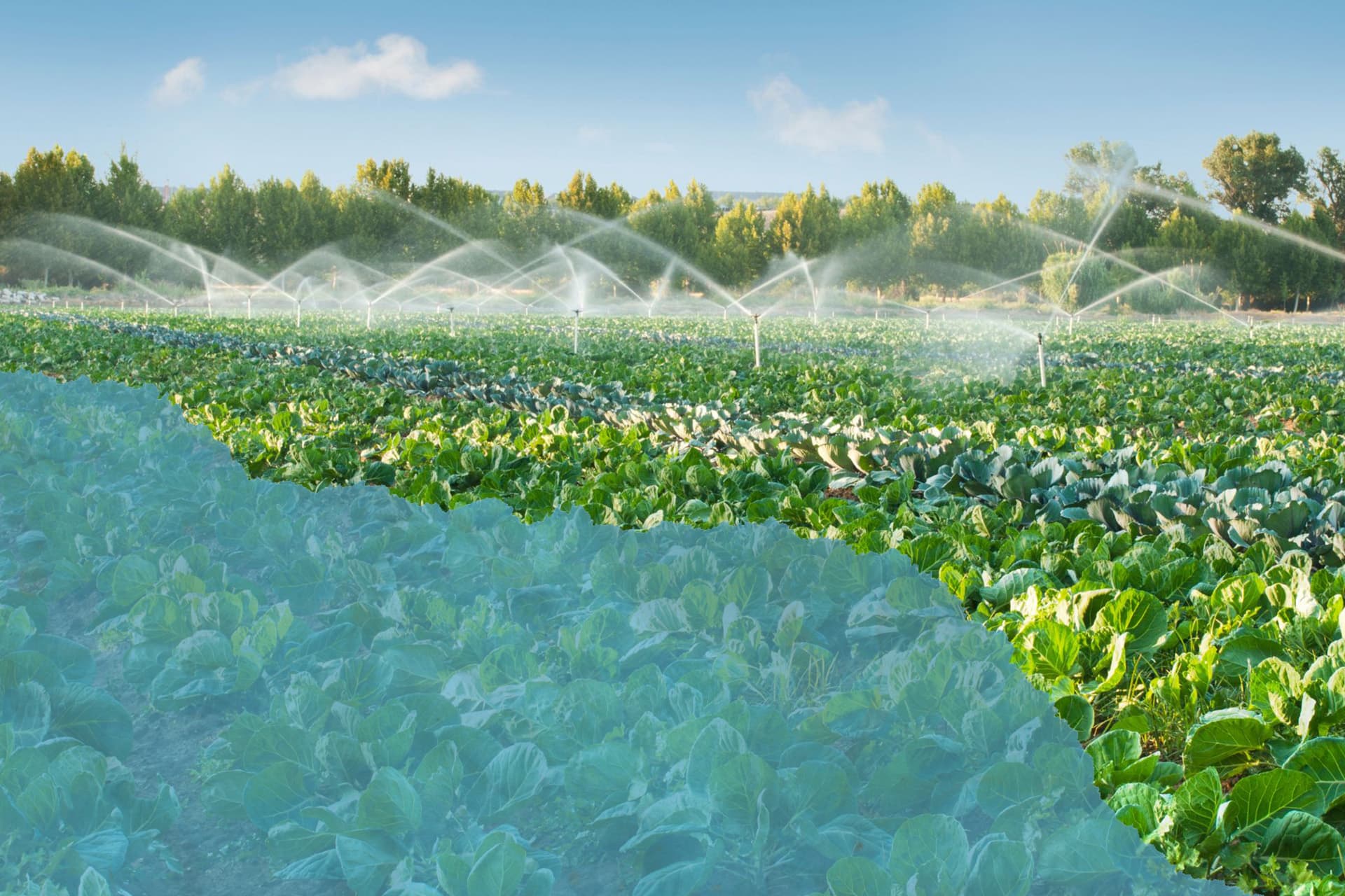 ÖNTÖZŐ RENDSZEREK